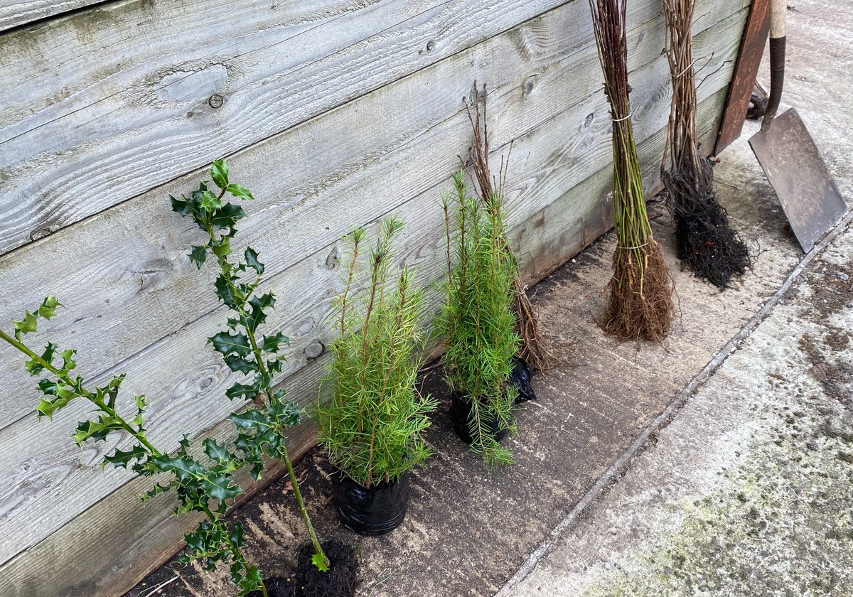 Our FREE Tree Giveaway kicks off tomorrow! 

And as it's almost Valentine’s Day, why not pop along to park near you next week (12 -17 Feb) to pick a tree suitable for gardens - which is, of course, the perfect gift for someone special. 

❤️🌲❤️🌳❤️🌲

🌲👉 orlo.uk/eToHD