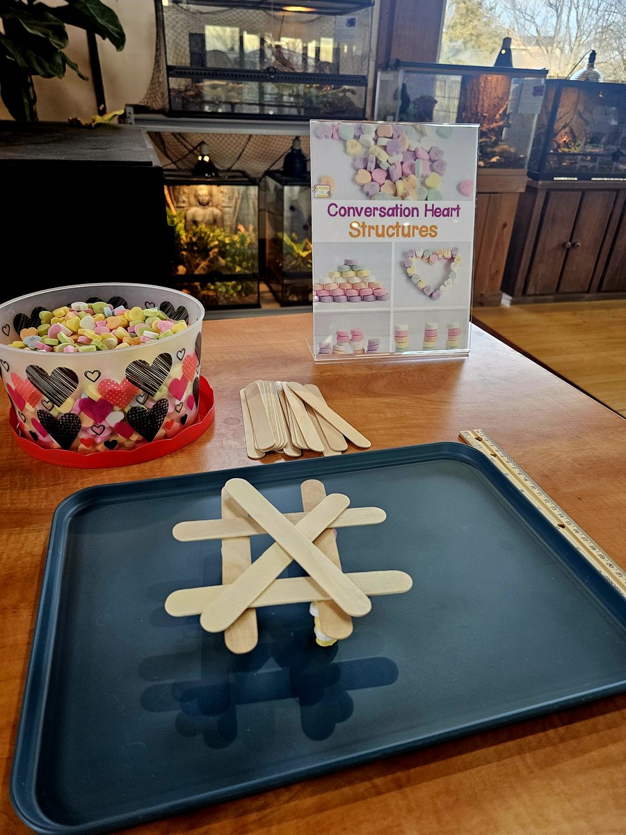 zoologyzonewv's tweet image. 🚀 Ready for an adventure at Zoology Zone? 🐊
Experience hands-on science and meet over 80 rescued animals! Your visit makes all the difference. 🌟
👉 Plan your trip today and join our mission! #VisitZoologyZone #CommunityMatters #ExploreScience