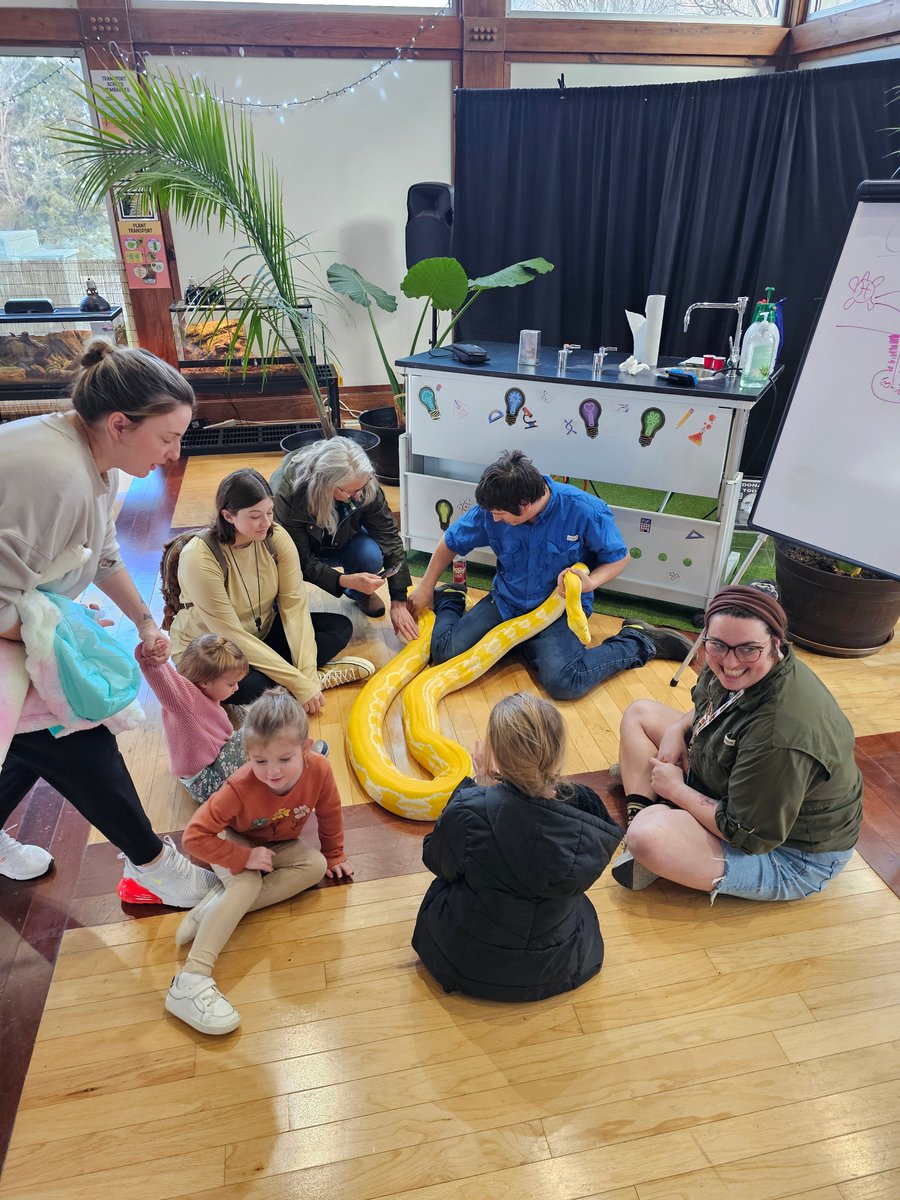 zoologyzonewv's tweet image. 🚀 Ready for an adventure at Zoology Zone? 🐊
Experience hands-on science and meet over 80 rescued animals! Your visit makes all the difference. 🌟
👉 Plan your trip today and join our mission! #VisitZoologyZone #CommunityMatters #ExploreScience