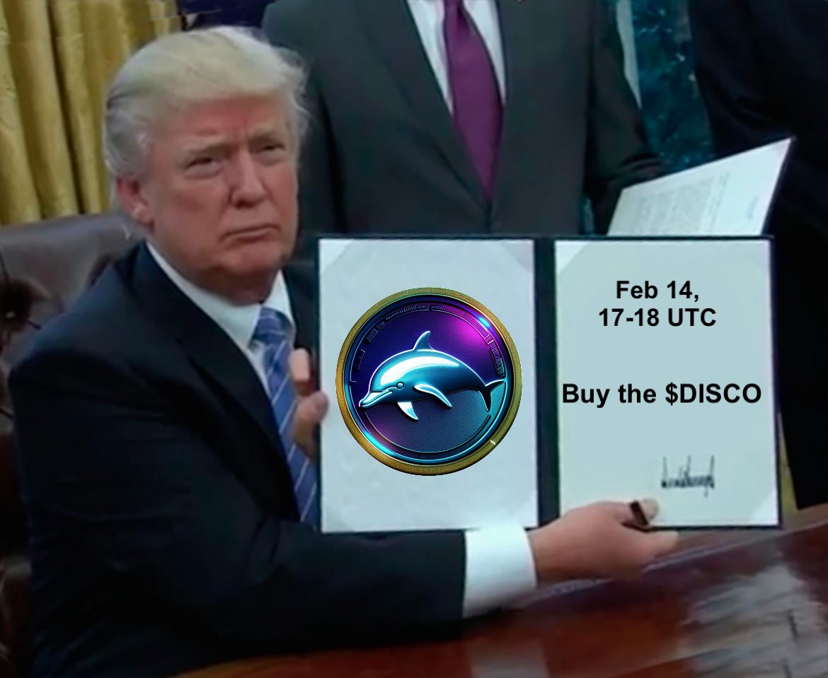 Disco dolphin tweet media