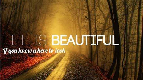 Dadsonpowermode's tweet photo. Life is beautiful. Find those places, those special moments and enjoy them as much as you can.
#ThinkBIGSundayWithMarsha
#life #beautiful #Enjoy #speci https://t.co/pRzyQsHJYH