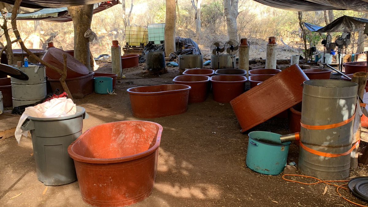 elalbertomedina's tweet image. 🔴 #ÚltimaHora 🔴

Localizan en #Sonora el laboratorio clandestino MÁS GRANDE en el sexenio de #AMLO para crear metanfetaminas.

Al menos 35 toneladas de droga y 5 toneladas de sustancias químicas fueron aseguradas por elementos de @SEMAR_mx en las inmediaciones de #Quiriego.…