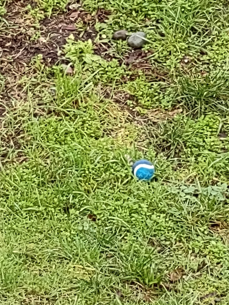 FumingMonkeys tweet media