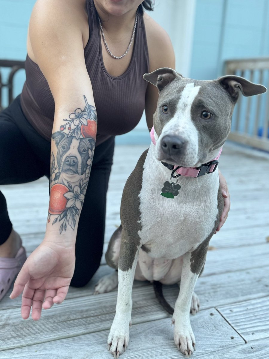 stopdotcom's tweet image. Puppy portrait fresh &amp;amp; healed pics with the baby that inspired the piece in the first place! 🍊💓