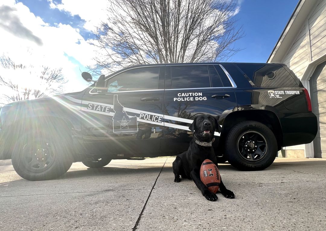 ISPHeadquarters's tweet photo. Game Day paw-trol! While the San Francisco 49ers take on the Kansas City Chief on the Super Bowl field, we've got our eyes on the roads, ensuring everyone gets home safely! So Shake it Off, buckle up, and remember We Are Never Ever Getting Distracted Together! #mostvaluablepup https://t.co/115qgmGZLH