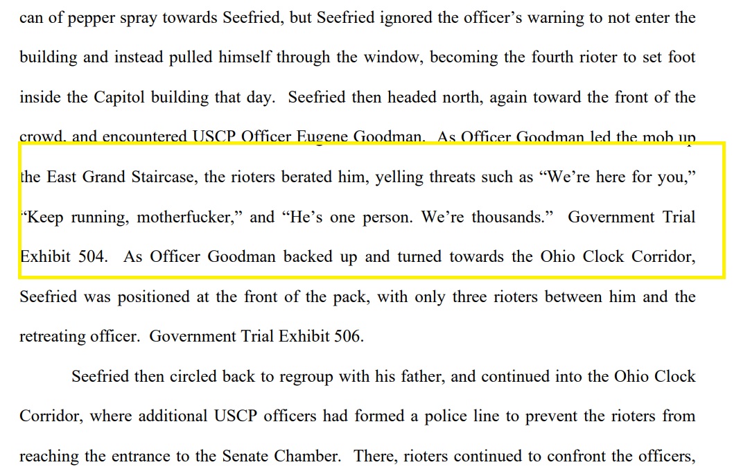 In court filing, Justice Dept recounts harrowing pursuit of lone Capitol Police officer E. Goodman, as he lured mob away from evacuating Senators: 'Rioters berated him, yelling threats such as “We’re here for you.. Keep running, motherf**er.. he’s one person. We’re 1000s.”