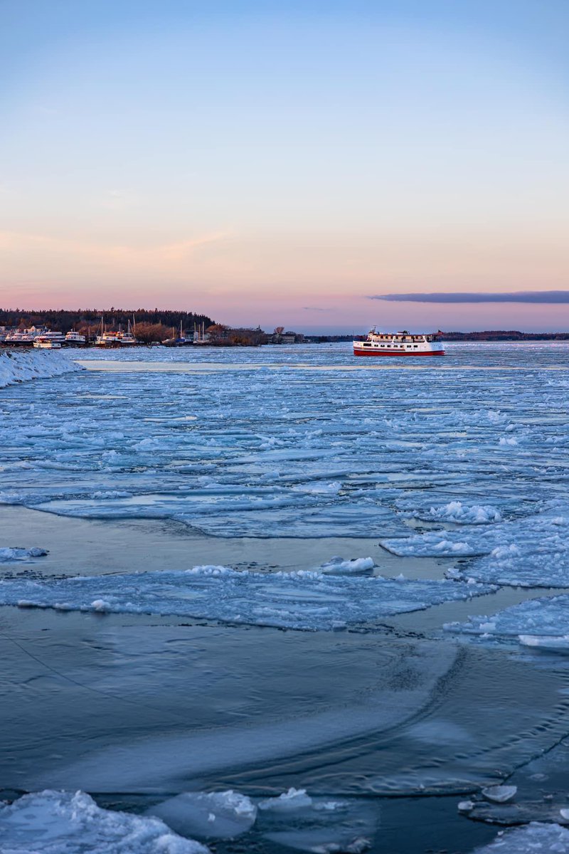 MustangLounge's tweet image. Winter ferry 🧊💕⛴️
📸 Katharine Rose Photography
📍Saint Ignace, MI