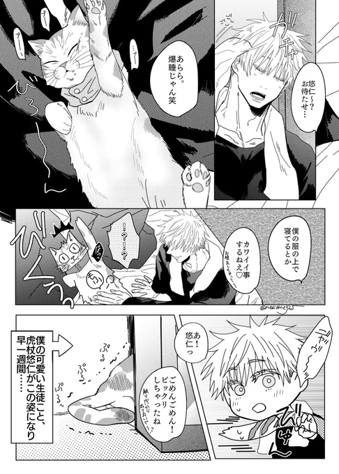 五悠
だから僕は君がいい①

アフター参加させていただきます。
⚠︎付き合ってない五悠/🐯のみ完全🐈化/🐯をフッた5️⃣がとある理由でゆじと一緒に暮らす話/ハピエンです!

続き出来たら繋げます(ツリーに続く→)
#5wUケモパロafter 