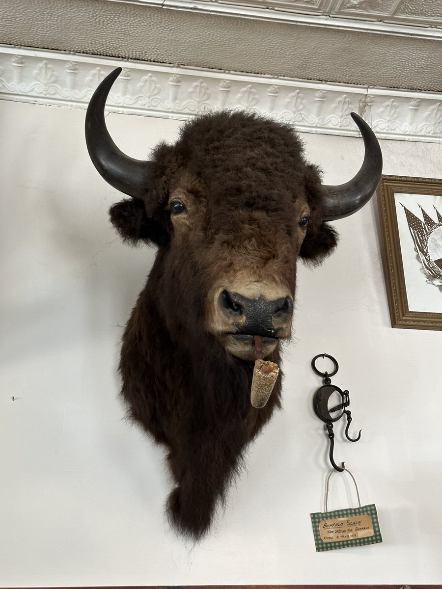 You just DIED...

The 10th pic in your gallery is what killed you.