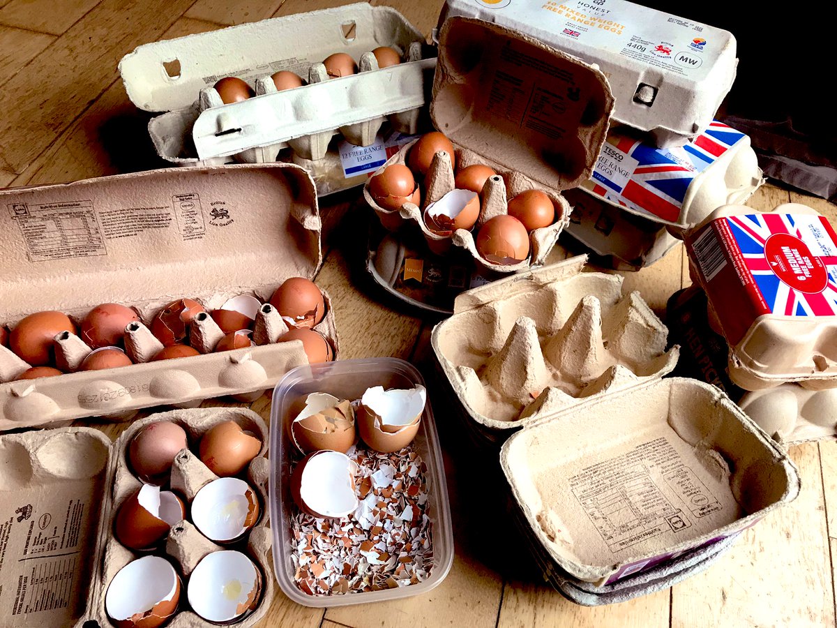 thatsyourplot's tweet image. You need to break a few eggshells to add grit and calcium to your compost #gardening #allotment
