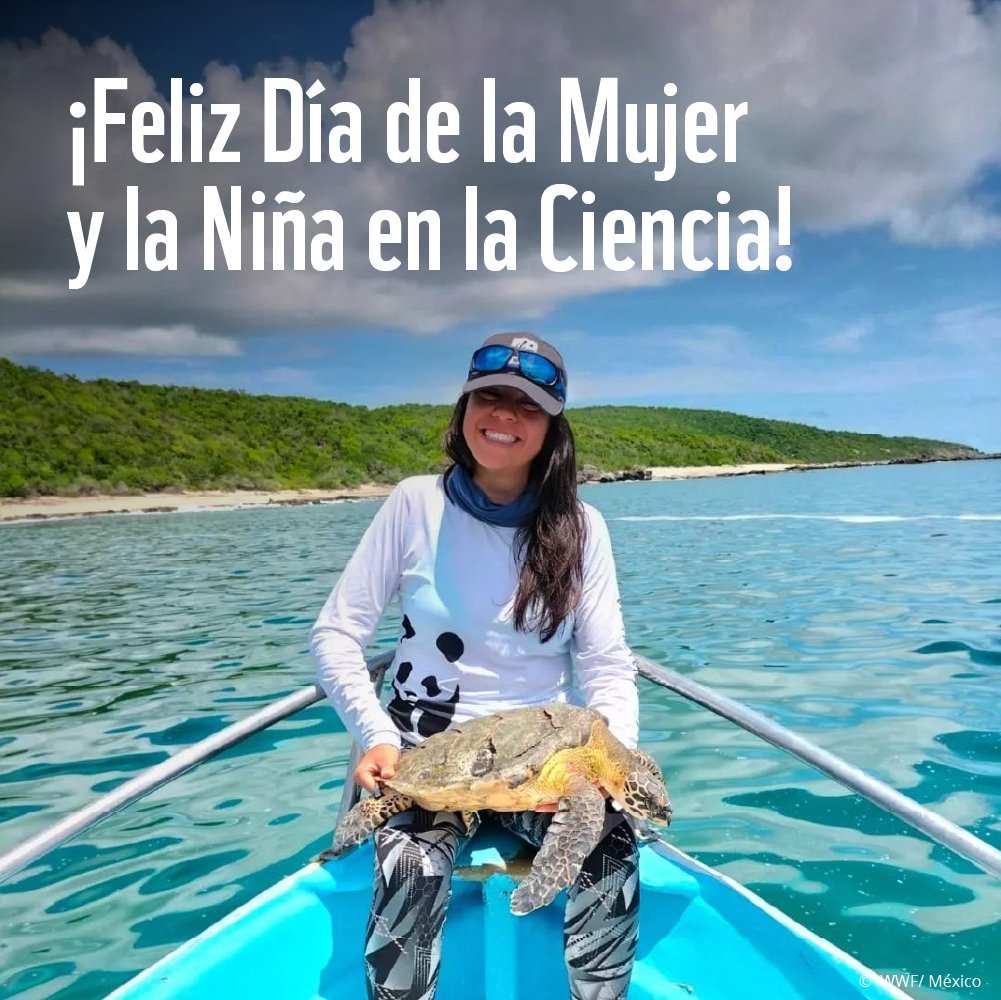 En #DíaDeLaMujerYLaNiñaEnLaCiencia recordamos que la igualdad de género es vital para nuestro trabajo, y para lograr un mundo donde las personas y la naturaleza vivan en armonía 🐼