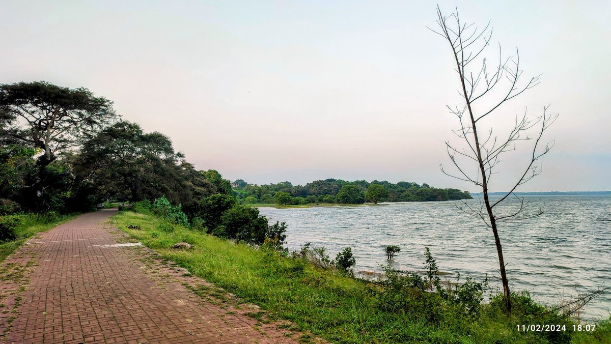 nihalapura's tweet image. #Nuwarawewa
#Joggingpath