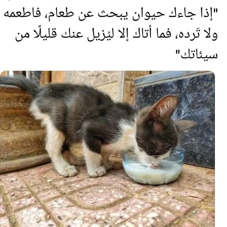 radyrady's tweet photo. https://t.co/8HgqF9RkG9