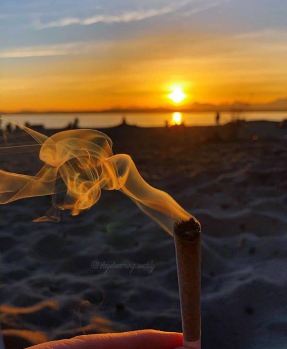 M⁴a²nn⁰y tweet media