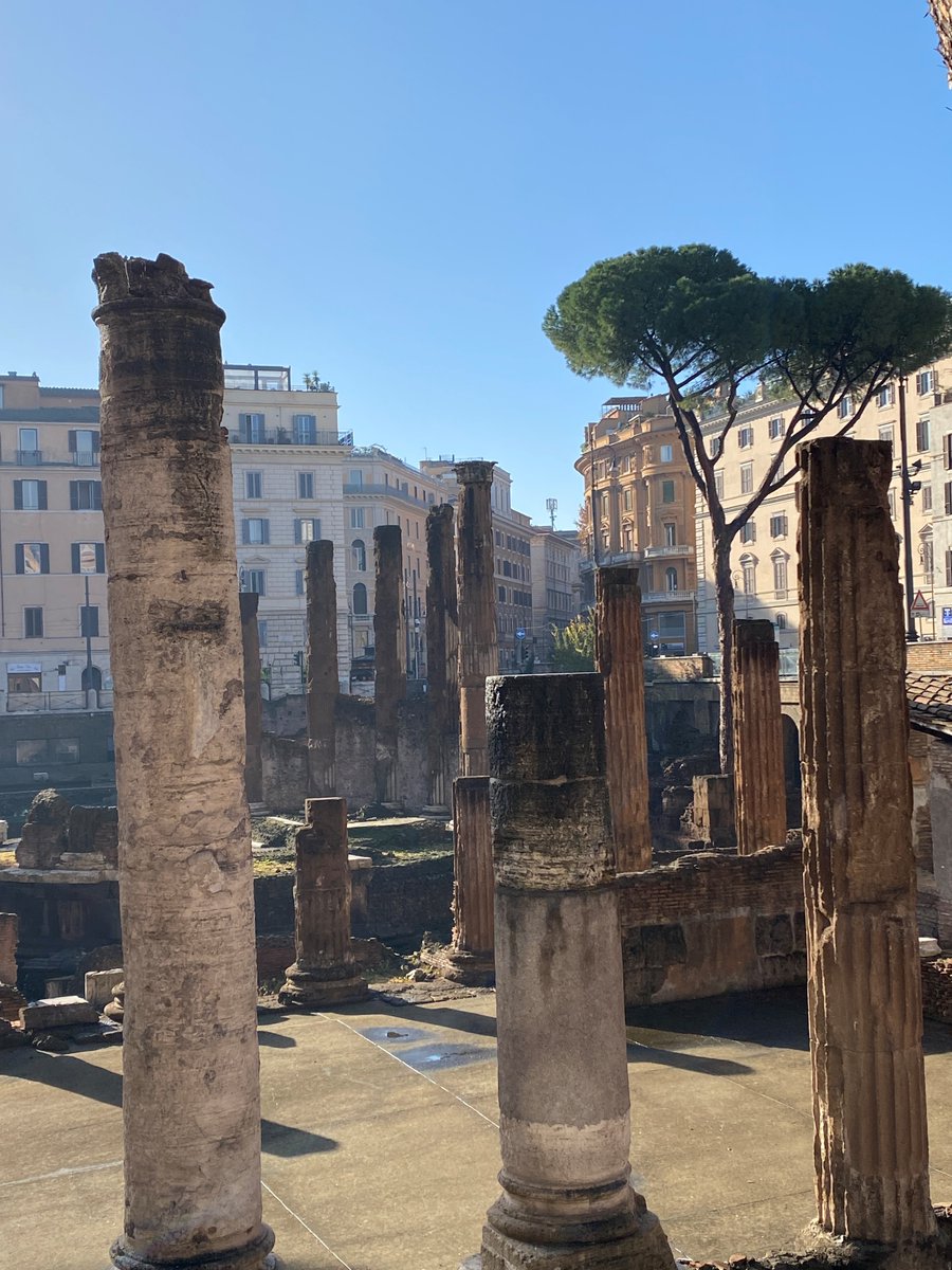 pilotguidestv's tweet photo. Roman ruins- Destination / Italy >>
https://t.co/UliPbUWtYt

#italy #roman #ruins #photography #photooftheday #pictureoftheday #pilotguides https://t.co/csM4bbYn1c