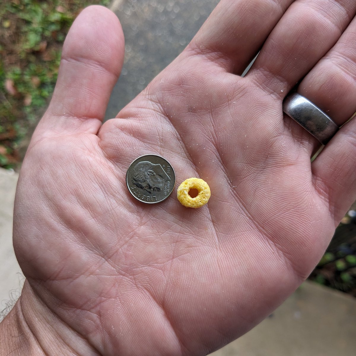 Southern Fried StoNerD tweet media