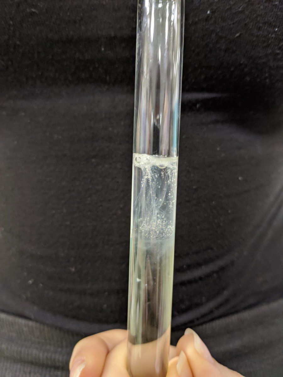 ieslaherradura's tweet photo. ADN 🧬 100% Villanueva del Mar @EducaAnd 👩🏿‍🔬#DíaDeLaMujerYLaNiñaEnLaCiencia @CienciaGob #programaCIMA https://t.co/24kbUuExKe