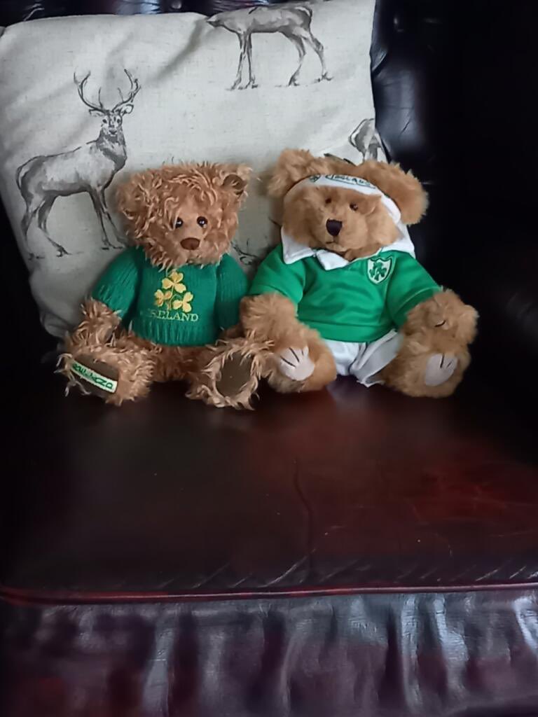 Just got this picture from Mum, I think she’s ready for the game ☘️🇮🇪🏉#ShoulderToShoulder #COYBIG #TeamOfUs