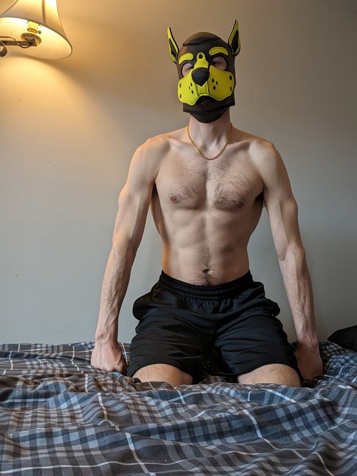 You may enter my bed only at risk of pouncin'! https://t.co/w6aWR87HRH<a href="/tag/instincts"class="tags"><span>#instincts</span></a>