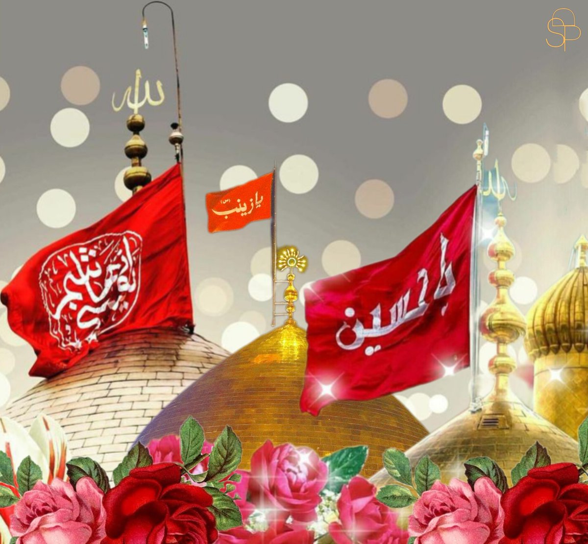 MeriamShah's tweet photo. یکم شعبان شبِ ولادت عقیلہ بنی ہاشم عالمہ غیر معلمہ شریکة الحسین  فاتح شام حضرت زینب کبریٰ سلام اللہ علیہا تمام ناصران امام المہدی(عج) کو مبارک باد پیش کرتے ہیں۔♥️ https://t.co/fK9z659ZBj