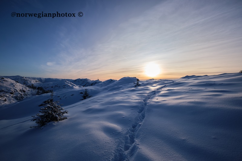 25: Footprints in the snow. @norwegianphotox ©