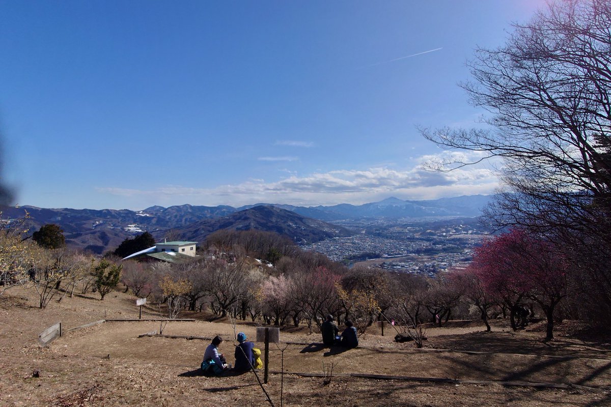 L609S's tweet photo. 宝登山
ロウバイと早咲きの梅 https://t.co/eoSn4n07cb