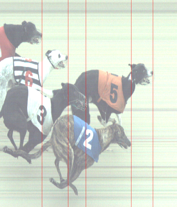 HoveRacing's tweet image. Sunday 11-2-24
@HoveGreyhounds

Race 4

Photo finish for 1st place  

#theplacetorace