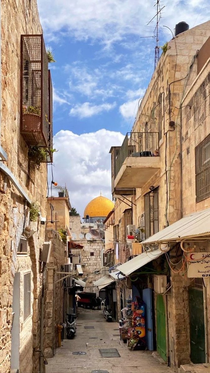 Arabbeau's tweet photo. Palestine https://t.co/6AAkx1jIj4