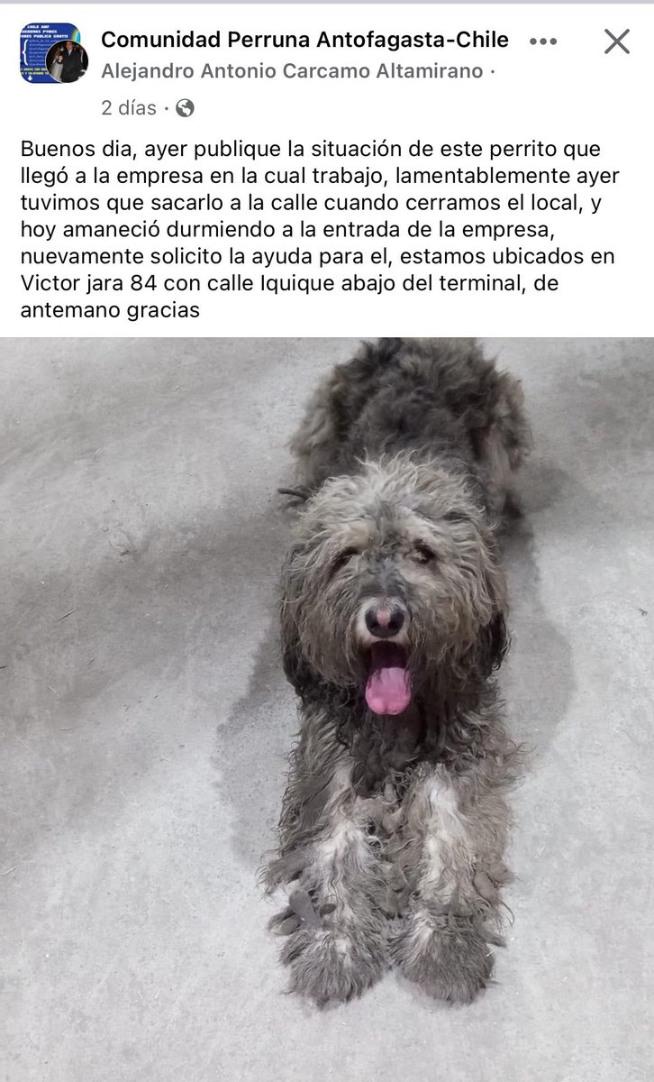 siestoycondios's tweet photo. @Victor76281343 es este por casualidad? https://t.co/kptWXPEjyP