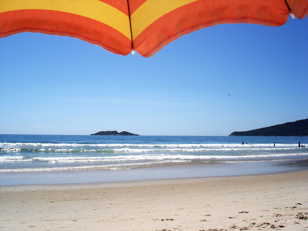 colossalmeiraz's tweet image. Bom Domingo e Bom Carnaval #palestrinos
@Palmeiras #PraiaDosIngleses #Florianópolis #Floripa #SantaCatarina