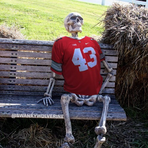 swankywolverine's tweet photo. Ohio State fans waiting for the huge sanctions from the NCAA hammer dropping on Michigan 😂 https://t.co/bKthvm3eP4