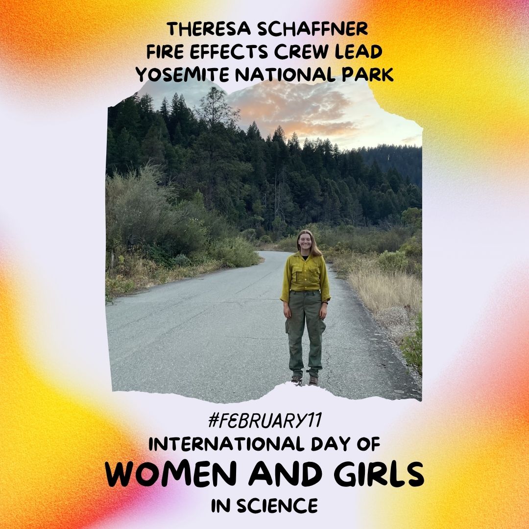 NPS Fire & Aviation on X: "#February11 is International Day of ...