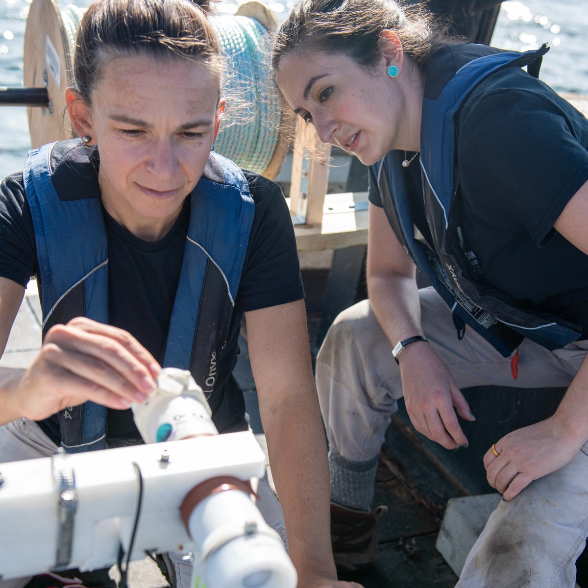 Today is International Day of Women and Girls in Science and our founder, Katy Croff Bell's, birthday! To celebrate, we're launching our career profile blog series with an interview with Katy.  #WomenInScience #OceanExploration #WomeninSTEM oceandiscoveryleague.org/post/career-pr…