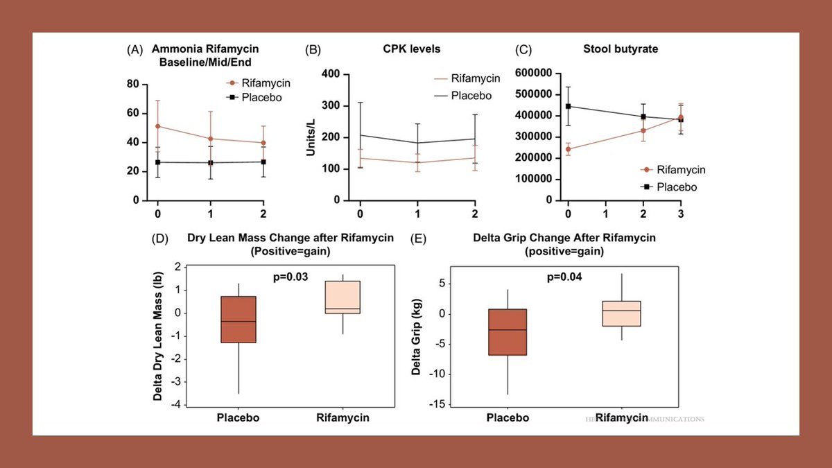 Can we⬇️#sarcopenia with a capsule in #cirrhosis ? Yes! #gutmuscleaxis #gutbrainaxis In #RIVET RCT w #rifamycinSVMMX,we found 🔑⬆️handgrip,💪mass & physical well-being How? Altered #microbiota function w⬆️butyrate, ⬆️active #androgens &⬇️#ammonia Read⤵️ journals.lww.com/hepcomm/fullte…