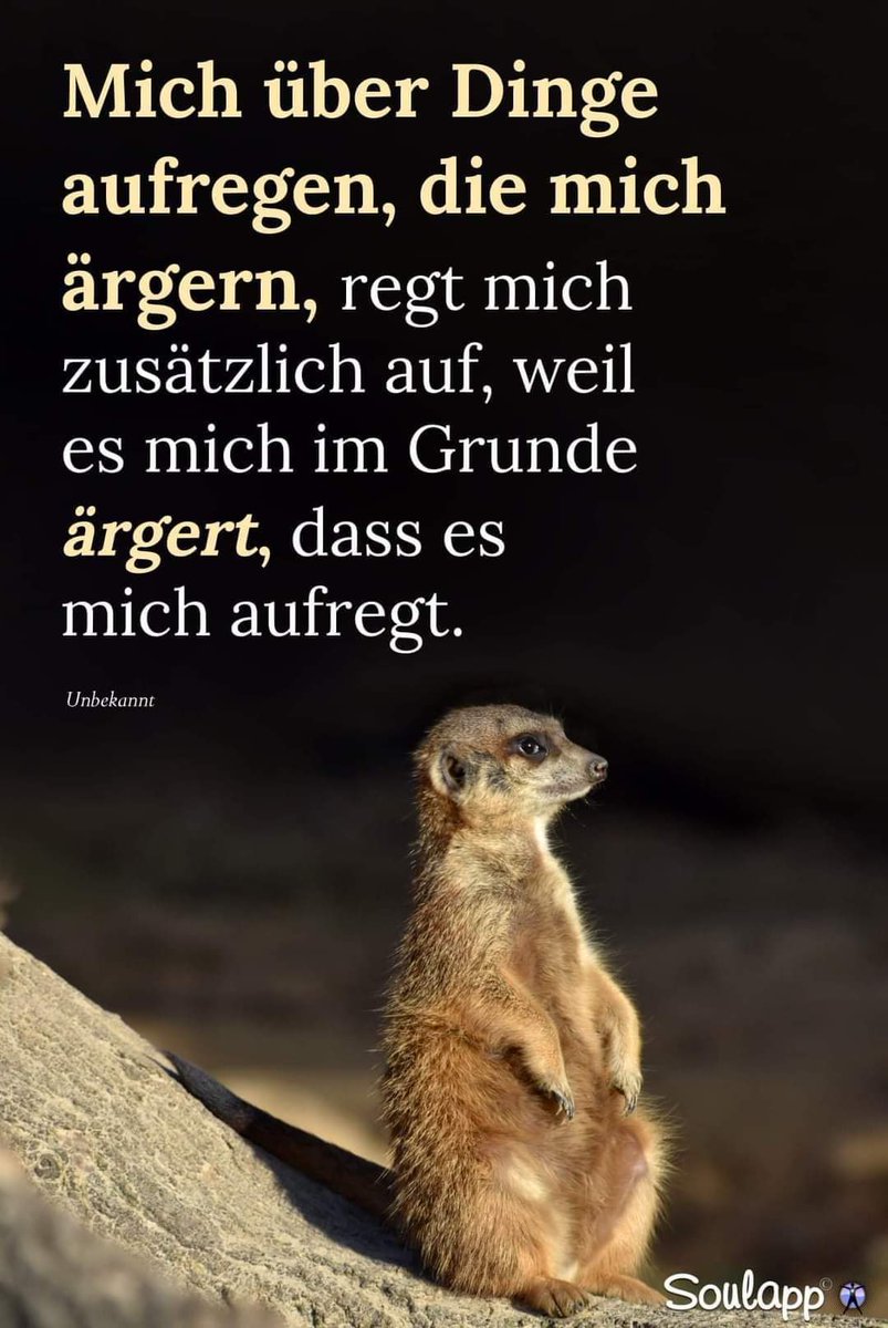 Diese Menschheit kann mich kaum mehr ärgern.
Ich kann nur mehr darüber lachen.

Erste Reihe fussfrei. 
Die Narren haben Konjunktur......und nicht wegen dem Fasching.

🥳🥳🥳🥳🥳🥳