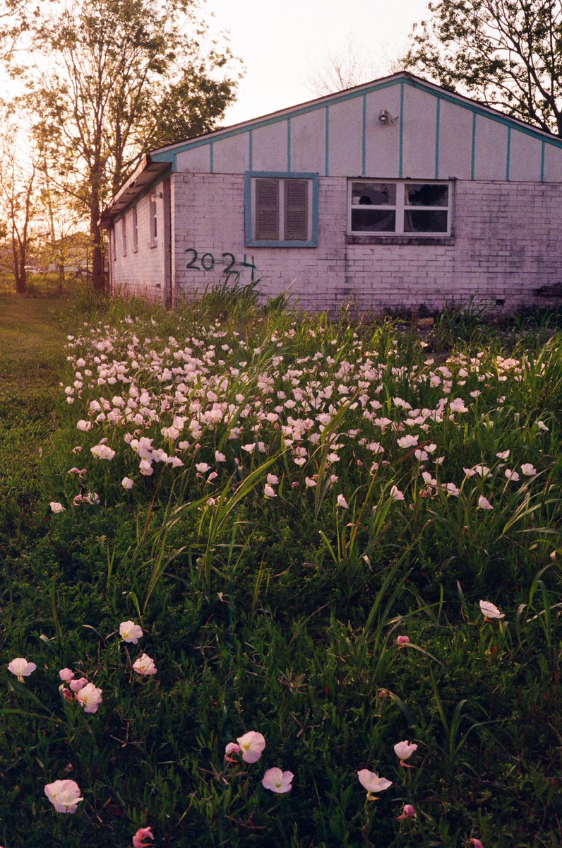 Casey Joiner tweet media