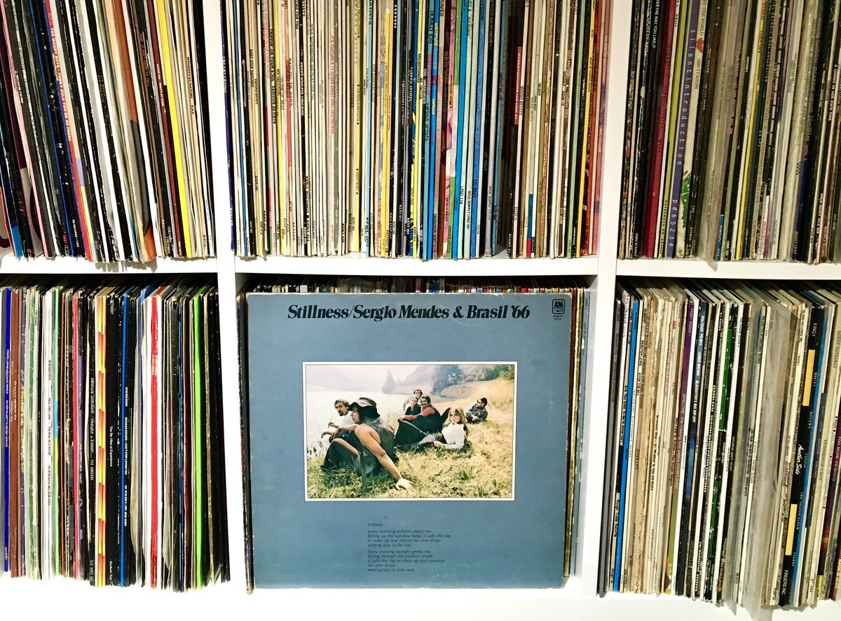 Birmingham 81 tweet media