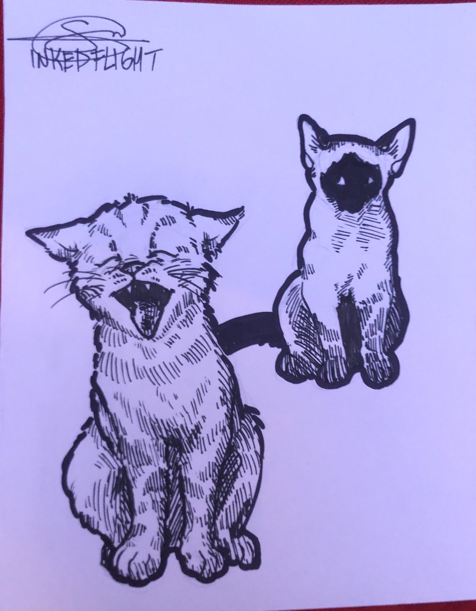 Day 2 done!!! Ty to everyone that commissioned me 🙏