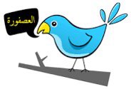 Dr.Sam Youssef Ph.D.,Ph.D.,DPT. tweet media