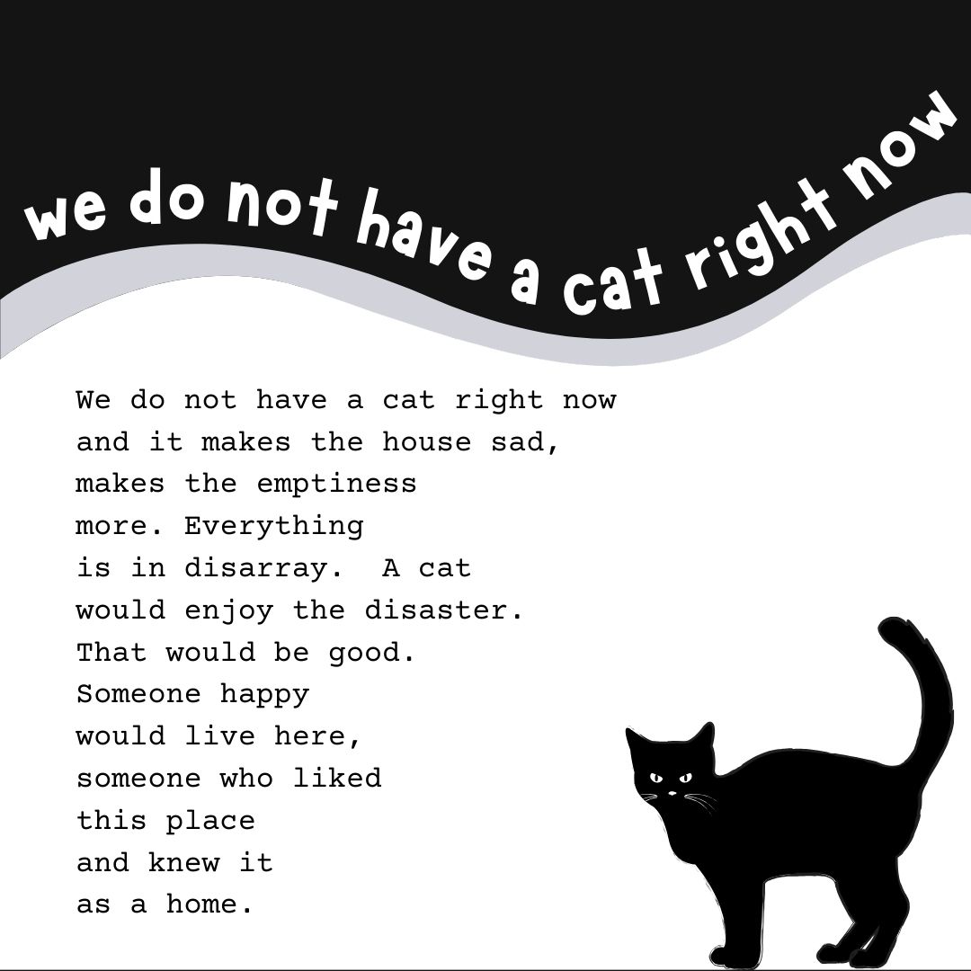 #TuesdayPoem - We Do Not Have a Cat Right Now 

#CatsOnTwitter #poetrytwitter #poetrylovers #PoemADay