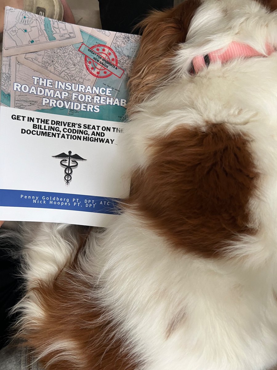 TheAveragePT tweet media