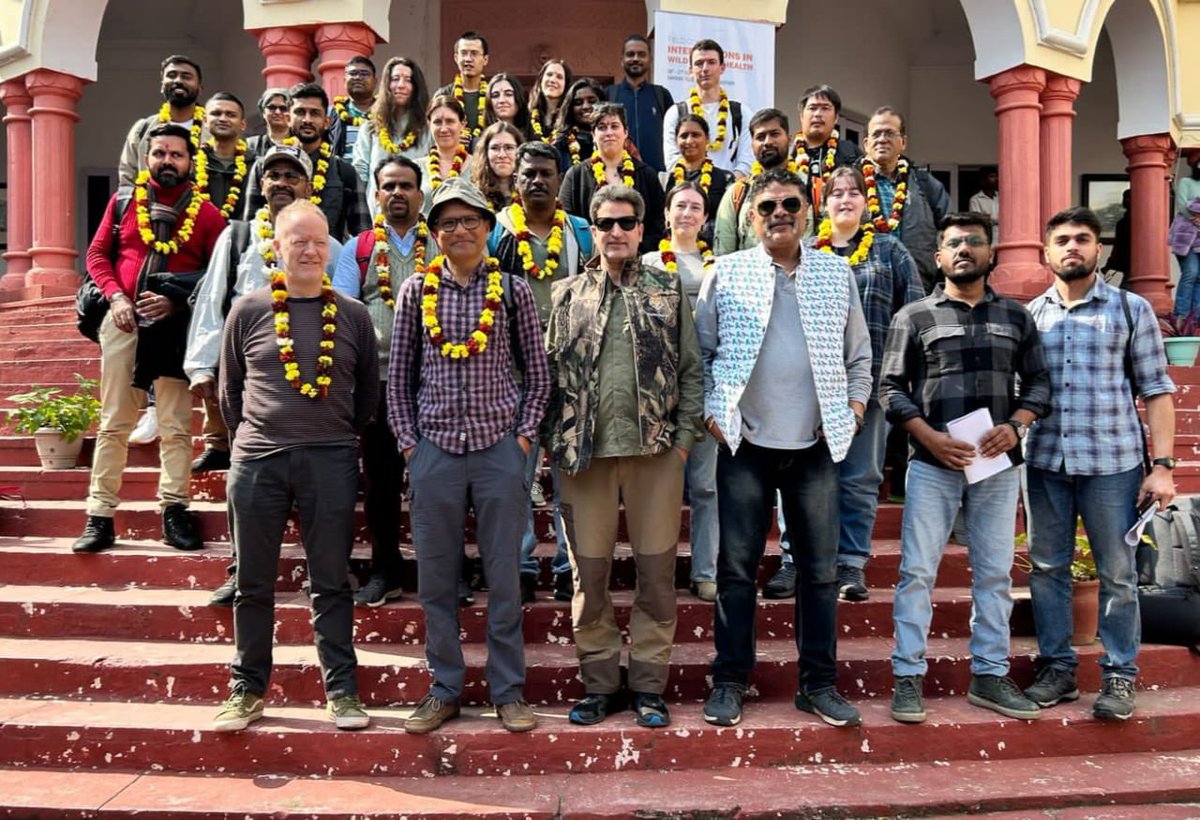 Wildlife Institute of India tweet media