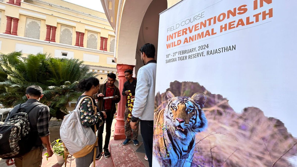 Wildlife Institute of India tweet media