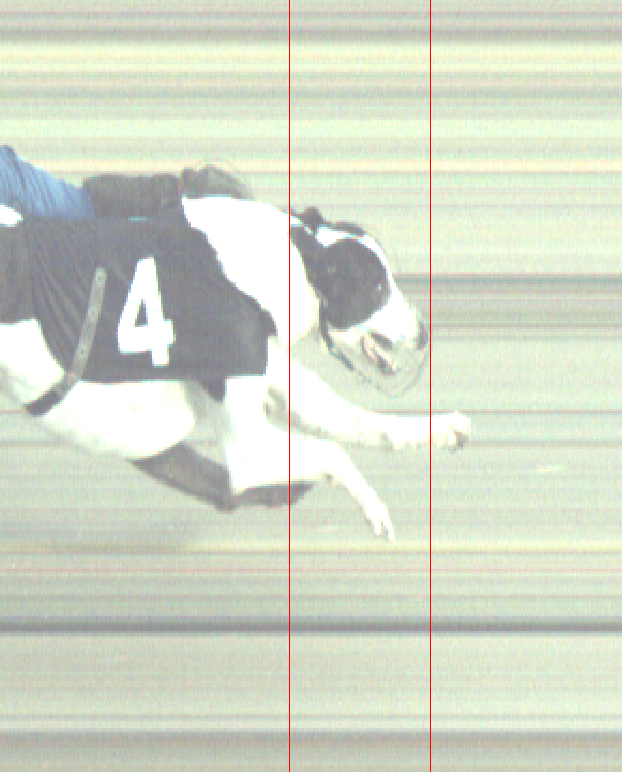 HoveRacing's tweet image. Sunday 11-2-24
@HoveGreyhounds

Race 6

 Photo finish for 2nd place    

#theplacetorace