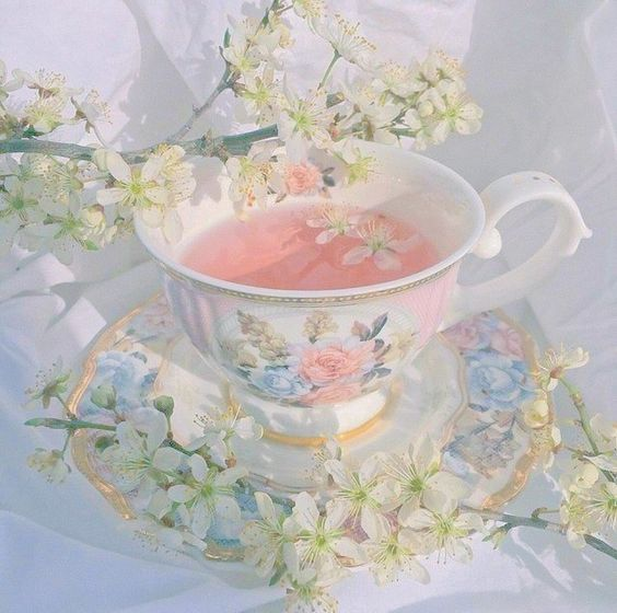 La vie est belle (@lavieestbelie) on Twitter photo 