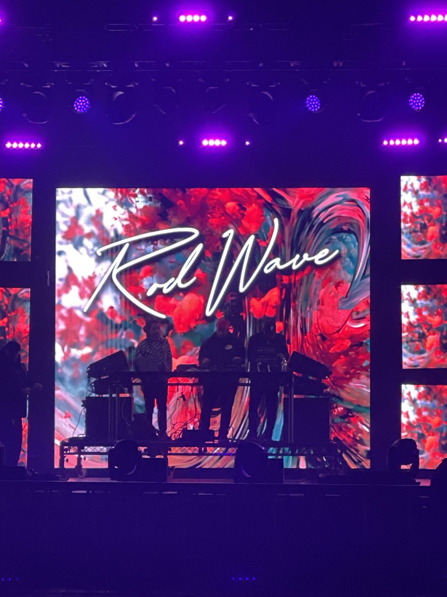 Wildflower Fields tweet media