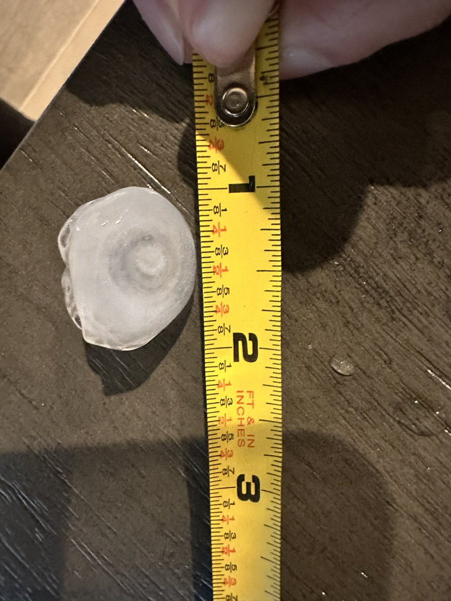 1 inch hail in Benton, LA this morning <a href="/NWSShreveport/">NWS Shreveport</a> #lawx