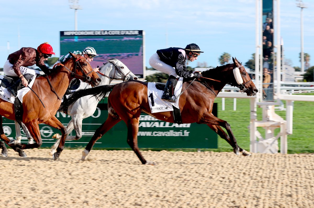 Jour de Galop (@jour_de_galop) on Twitter photo Comme en 2023, HOOKING (Lope de Vega <a href="/BallylinchStud/">BallylinchStud</a>) s'offre le doublé Grand Prix de la Reviera Côte d'Azur - Prix Saonois (Ls), à Cagnes-sur-Mer. Entraîné par <a href="/PDecouz/">Philippe Decouz</a>, il appartient à <a href="/AntoGriezmann/">Antoine Griezmann</a>. <a href="/RonanThomass/">Яonan THOMAS</a> lui était associé.
<a href="/InfoArqana/">ARQANA</a>
📸 Jean-Michel Tempier Comme en 2023, HOOKING (Lope de Vega <a href="/BallylinchStud/">BallylinchStud</a>) s'offre le doublé Grand Prix de la Reviera Côte d'Azur - Prix Saonois (Ls), à Cagnes-sur-Mer. Entraîné par <a href="/PDecouz/">Philippe Decouz</a>, il appartient à <a href="/AntoGriezmann/">Antoine Griezmann</a>. <a href="/RonanThomass/">Яonan THOMAS</a> lui était associé.
<a href="/InfoArqana/">ARQANA</a>
📸 Jean-Michel Tempier