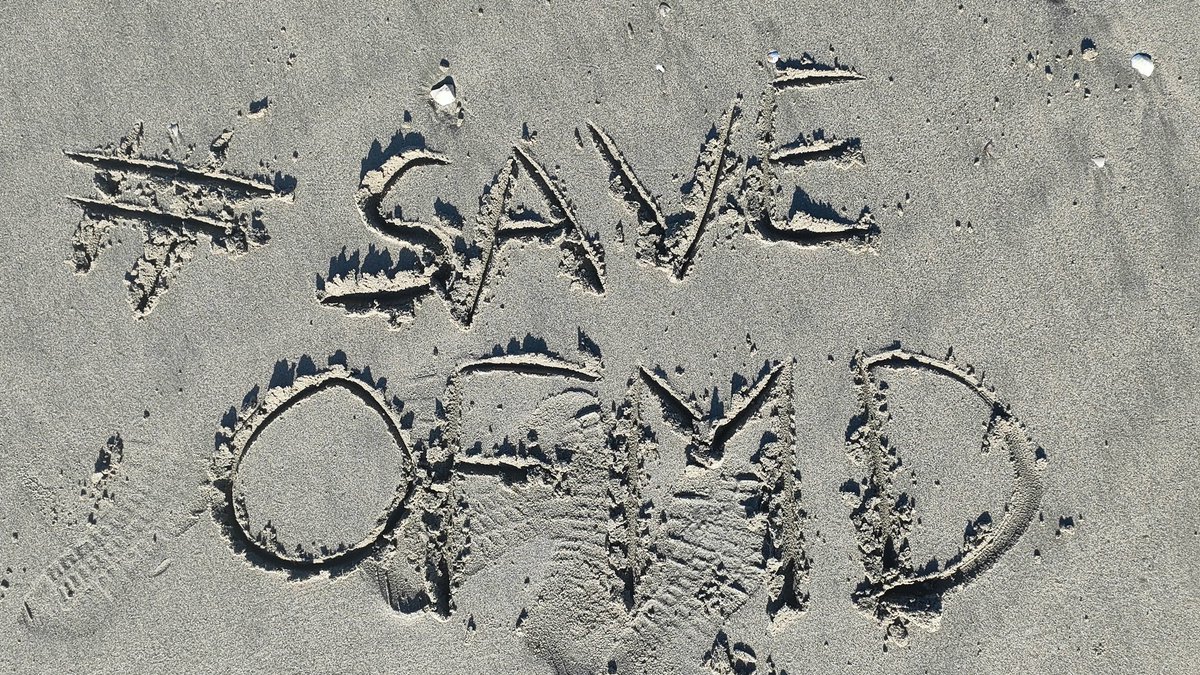 FandomInAMess's tweet image. Walking on the beach and thinking of our little pirates ❤️🙏🥲
#saveourflagmeansdeath