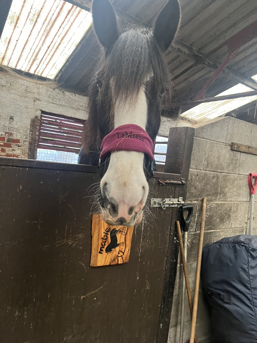 Megan Prentice 💙 tweet media